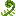 Curly Fern