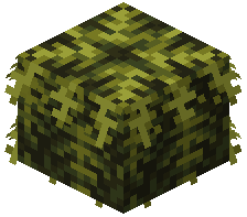 Fern Thatch