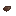 Cockroach Wing Fragment