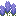 tall_lavender