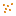 Fiery Bean Seeds
