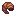 Fried Maggot
