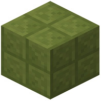 Hexagonical Lime Terracotta