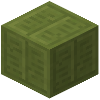 Inscribed Lime Terracotta