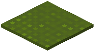 Knitted Green Carpet