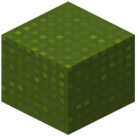 Knitted Green Wool