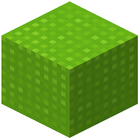 Knitted Lime Wool