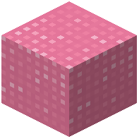 Knitted Pink Wool
