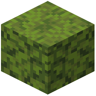 Leafy Dried Kelp Block