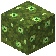 Lime Moss Block