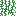 Long Vine