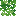 Lush Vine