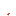 Mini Red Mushroom