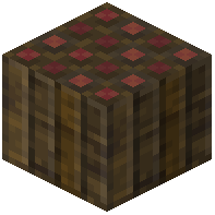 Mixed Mangrove Log
