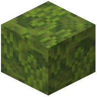 Old Moss Block