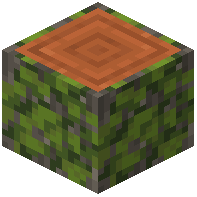 Overgrown Acacia Log