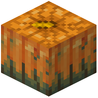 Overgrown Autumnkin