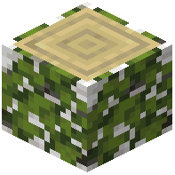 Overgrown Birch Log