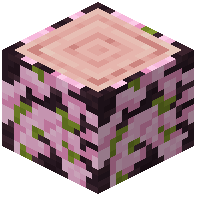 Overgrown Cherry Log