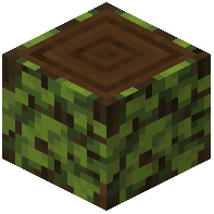 Overgrown Dark Oak Log