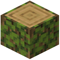 Overgrown Oak Log