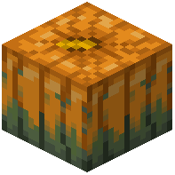 Overgrown Pumpkin