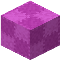 Patched Magenta Wool