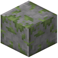 Polished Mossy Stone Bricks