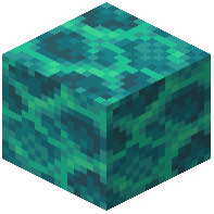 Porous Warped Wart Block