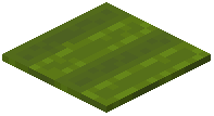 Rectangle Green Carpet