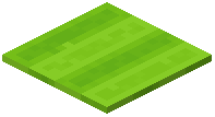 Rectangle Lime Carpet
