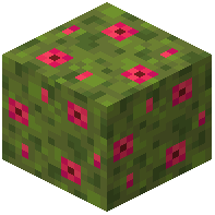 Red Moss Block
