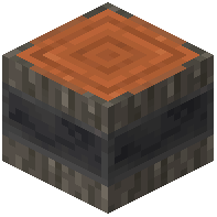 Reinforced Acacia Log