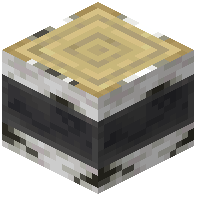 Reinforced Birch Log