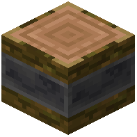 Reinforced Jungle Log
