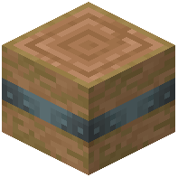 Reinforced Stripped Jungle Log