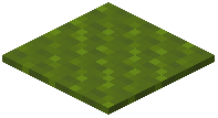 Ribbled Green Carpet