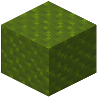 Ribbled Green Wool
