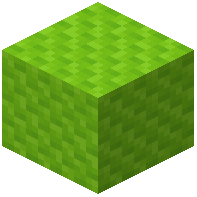 Ribbled Lime Wool