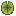 Rough Lily Pad