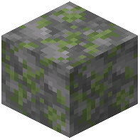 Rough Mossy Stone Bricks