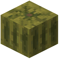 Rustic Melon