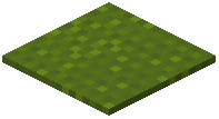 Scaled Green Carpet