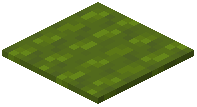Soft Green Carpet
