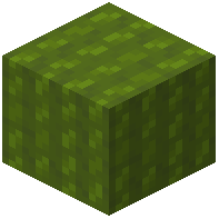 Soft Green Wool