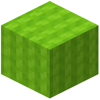 Soft Lime Wool