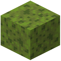 Spongy Moss Block