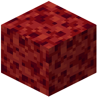Spongy Nether Wart Block