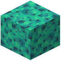 Spongy Warped Wart Block
