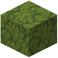 Sprinkled Moss Block